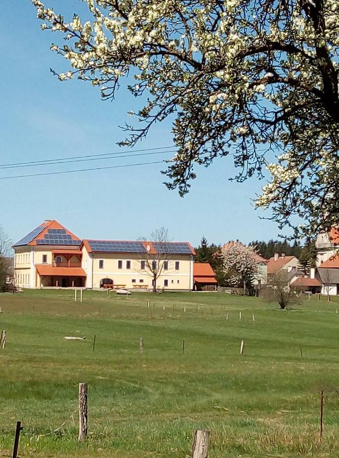 Nová Bystřice Penzion Hurky المظهر الخارجي الصورة